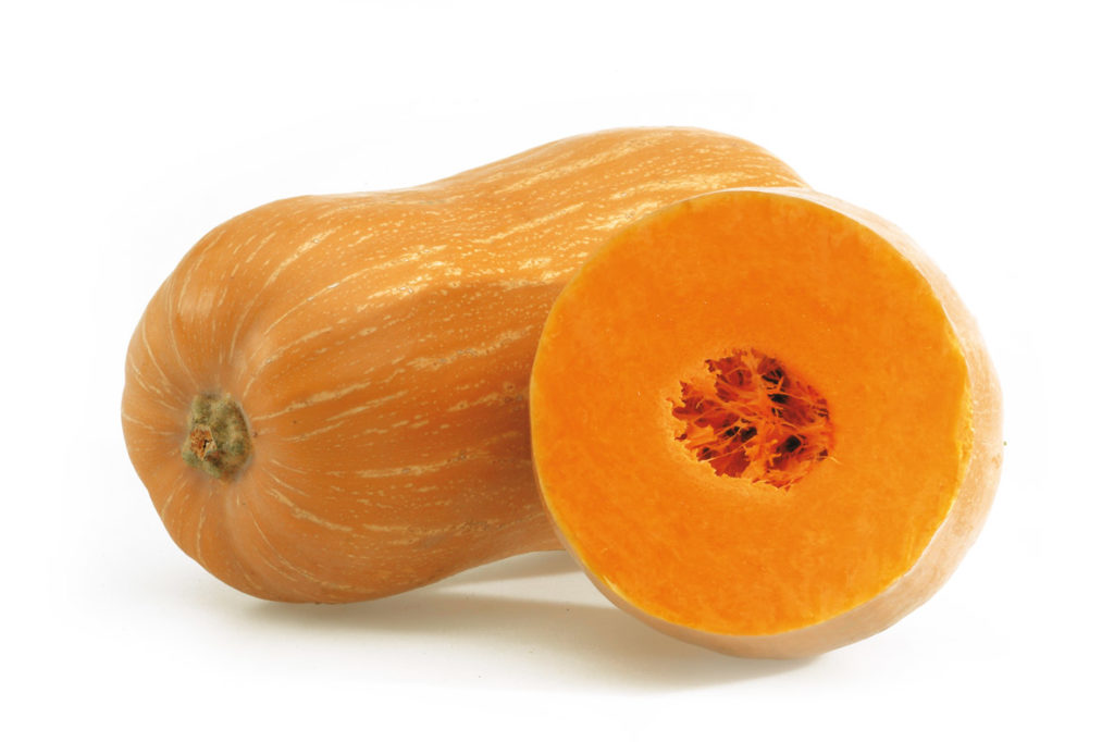 Carbassa