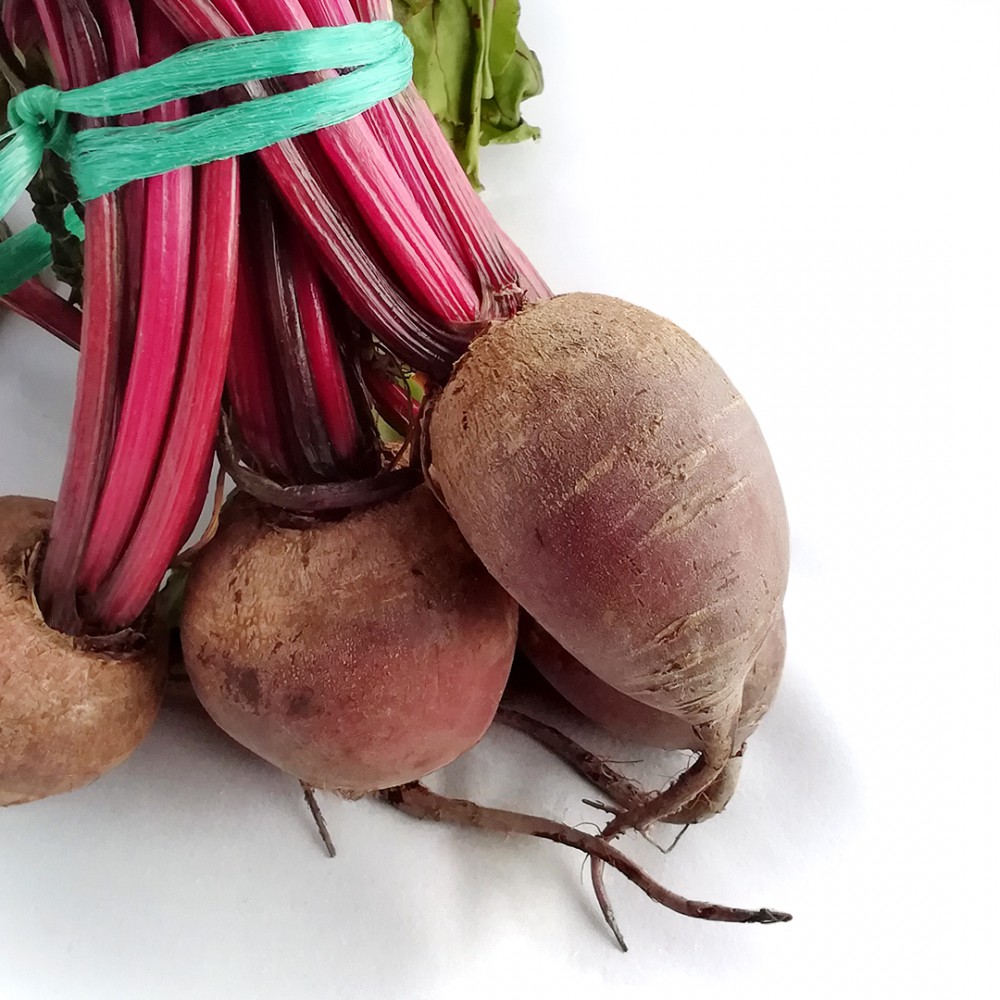 Remolatxa [manat] eco