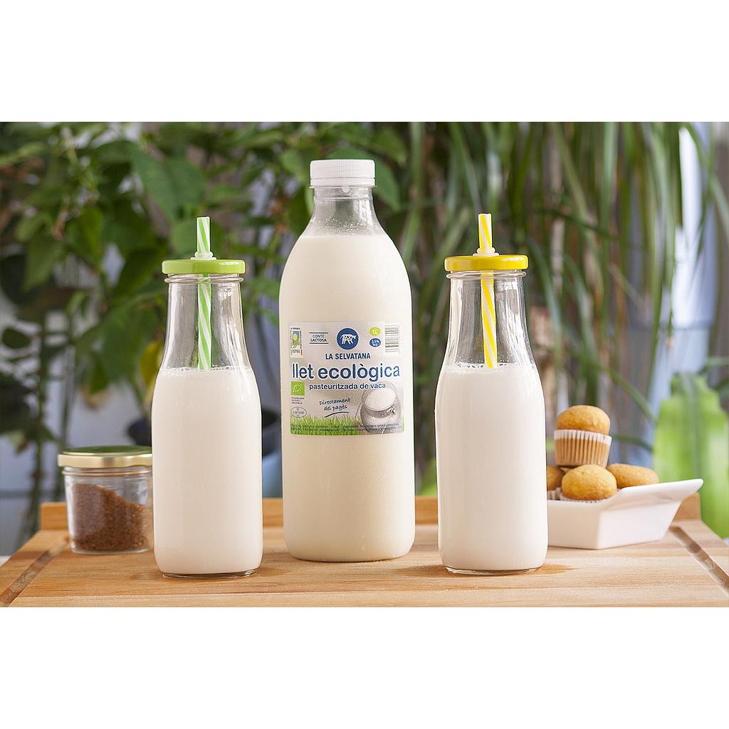 Llet de vaca pasteuritzada 1L